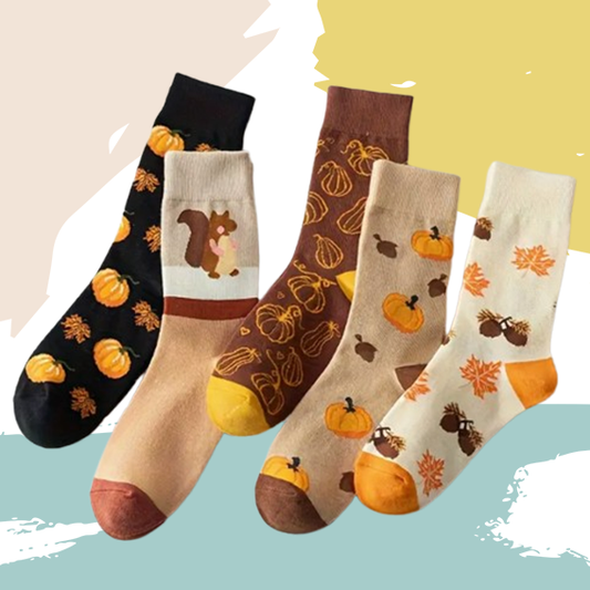 Chaussettes automne (5 paires)